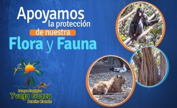 Apoyamos la protección del Parque Yvaga Guazú